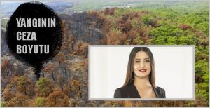 Son günlerde yurdun dört bir yanını etkisi altına alan orman