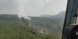 Tunceli’de orman yangını söndürme çalışmaları sürüyor…