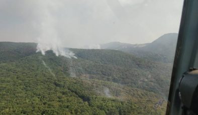 Tunceli’de orman yangını söndürme çalışmaları sürüyor…