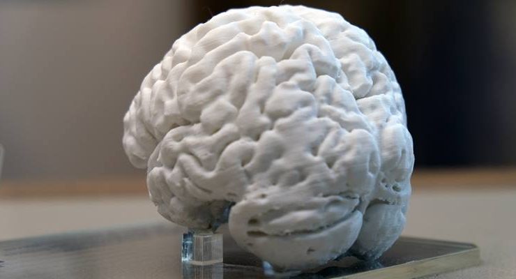  “3D yazıcılar ile beyindeki değişiklikler izlenebilecek”