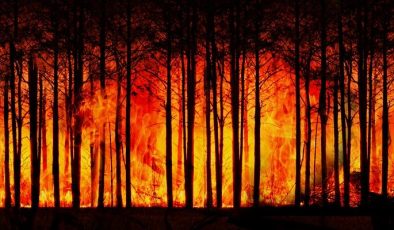 Orman yangını risk haritası zorunlu…
