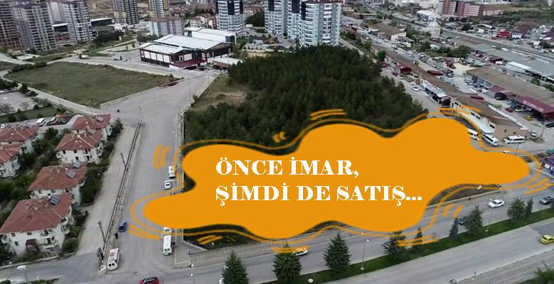 Kastamonu’da bulunan 17 dönümlük Alparslan Türkeş Botanik Parkı için satış