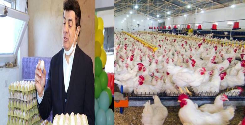 Yumurta üretimine başlayan şarkıcı Coşkun Sabah, artan tavuk yem fiyatları