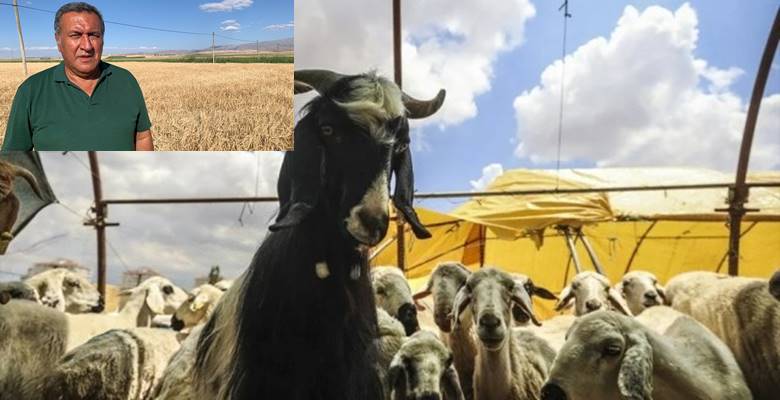 Cumhuriyet Halk Partisi (CHP) Niğde Milletvekili Ömer Fethi Gürer, Tarım