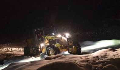 Kar nedeniyle yolda kalanlara 2 bin Euro ödeme…