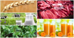 OLAYNET/ Adana- Ticaret Borsası (ATB) Başkanı Şahin Bilgiç, Tarım ve