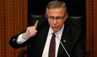“HDP de Meclis’te olup derdini anlatmak istiyordur, meşrudur”