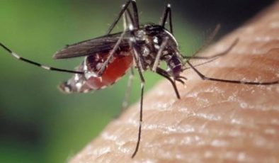 Sivrisinekten korunmak için ne yapmalı?