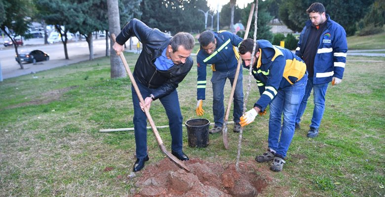 ADANA/ Olaynet– Çukurova Belediyesi, ilçede turunç ağacı dikimi başlattı. Türkiye’nin