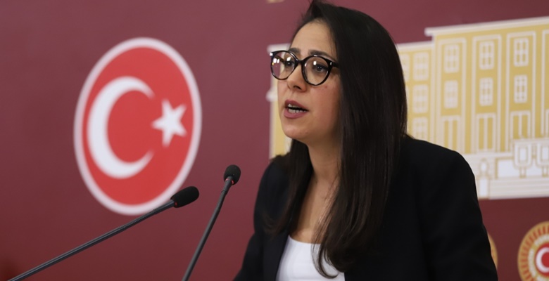 Olaynet– Türkiye İşçi Partisi (TİP) Sözcüsü, İstanbul Milletvekili Sera Kadıgil,