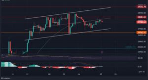 Geçtiğimiz hafta 9 ayın zirvesi olan 28.860$ seviyelerini gören Bitcoin,