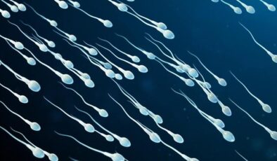 Erkeklerin sperm sayısı neden azalıyor?