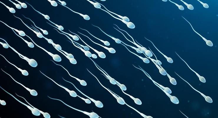 Erkeklerin sperm sayısı neden azalıyor?