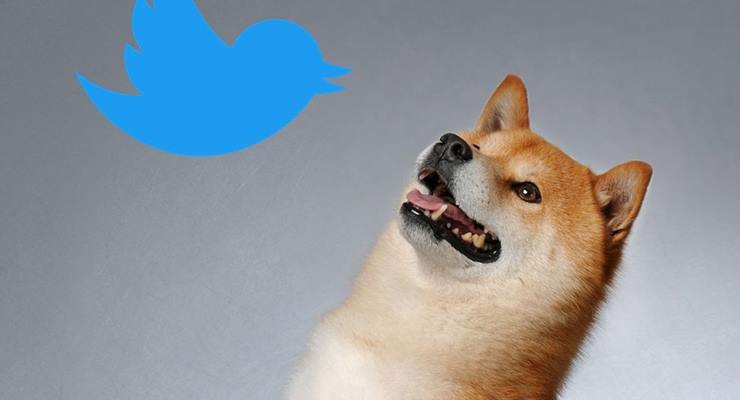 Sosyal medya platformu Twitter’ın ikonik mavi kuş logosu, kripto para