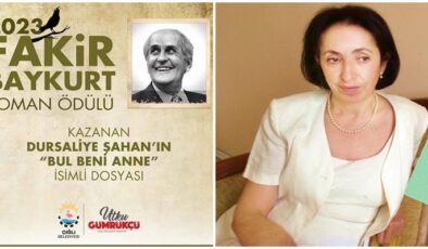 Fakir Baykurt Roman Ödülü; BUL BENİ ANNE