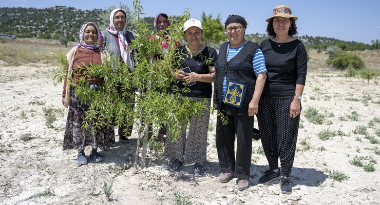 Mersin’de tarımsal destek sürüyor