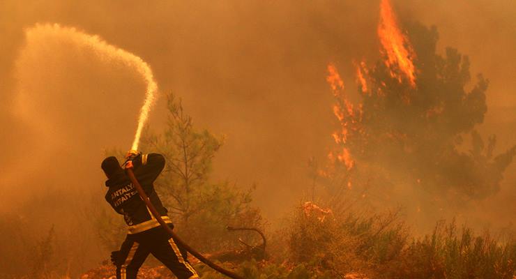 Maltepe’de orman yangını