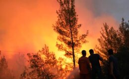 4 ilinde orman yangınlarını söndürme çalışmaları sürüyor