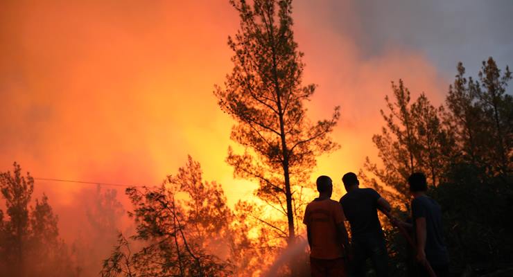 Akdeniz ülkelerinde orman yangınları yaşam alanlarına korku veriyor!