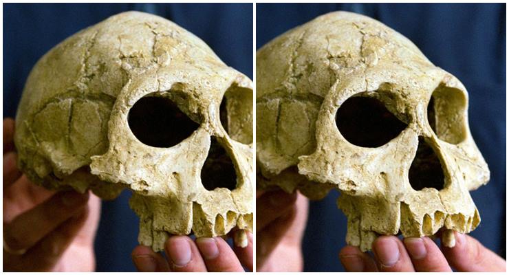 Türümüz Homo sapiens’in Afrika’dan