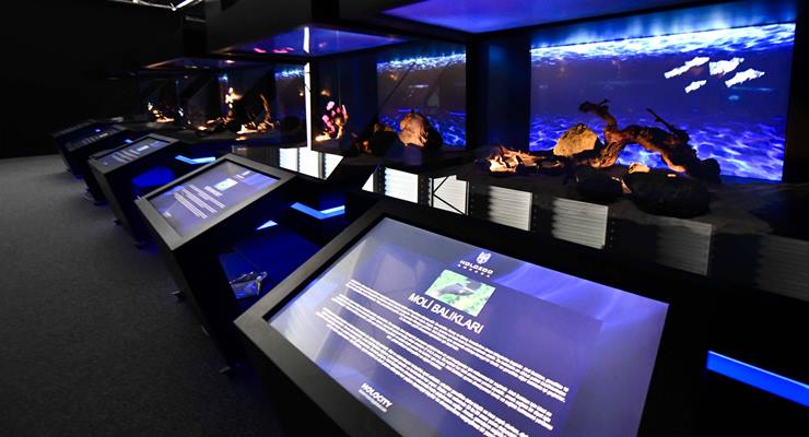 Ankara dijital hayvanat bahçesi açılıyor