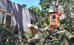 Belediye ekipleri devrilen ağaçları kaldırdı
