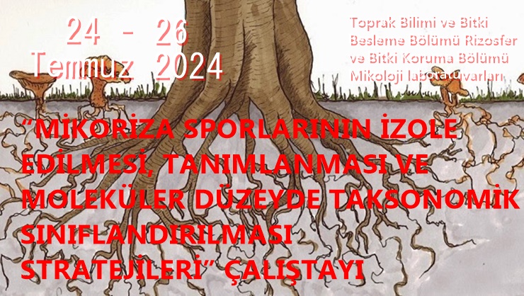 Sitemiz olayney.net yazarı Prof. Dr. İbrahim ORTAŞ’tan gelen açıklamasında, 24 –