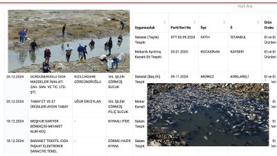 Küçüksaat haber sitesinde bir haber vardı; Seyhan Nehrinde oksijensizlikten balıklar