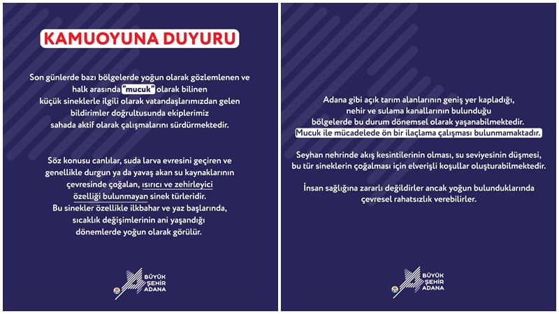 Adana Anakent Belediyesi, kentte bazı bölgelerde görülen ve halk arasında
