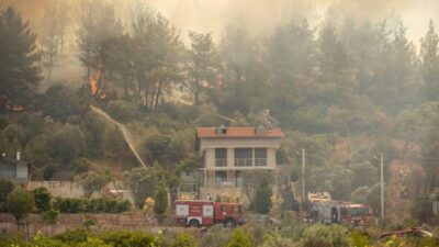 İzmir Anakent Belediyesi, son günlerde kentin birçok noktasında çıkan orman
