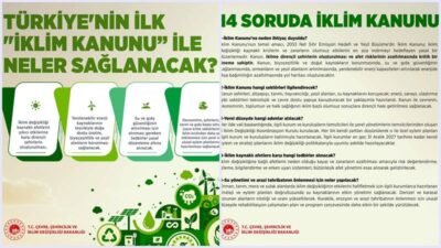 3 Temmuz 2025 günü; sanal kamusal alana yeşilin dört tonuyla