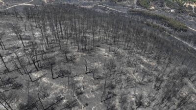 İzmir’in Seferihisar ile Menderes ilçelerinde oluşan orman yangınları, yalnızca doğayı