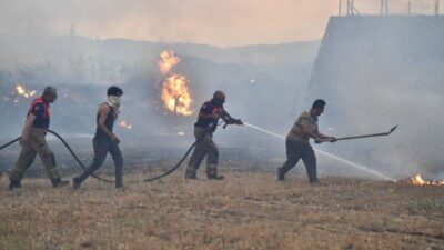 İzmir’in Dikili ilçesine bağlı Bademler Mahallesi Yahşi Tepesi’nde dün akşam