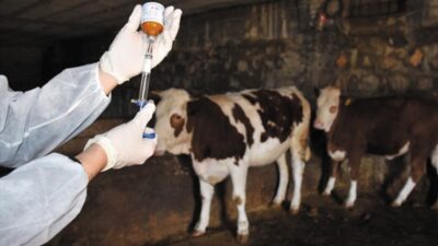 CHP Niğde Milletvekili ve TBMM Tarım, Orman ve Köyişleri Komisyonu