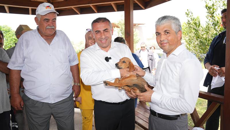 Adana’da sokak canlıları için yeni alan… Adana Anakent Belediyesi, sokak canlılarına yönelik hizmetlerini genişleterek sürdürüyor.