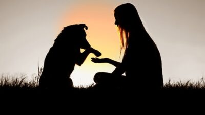 Sosyal medyada mucize gibi sunulan köpek kurtarma sahneleri biyolojik duyuların