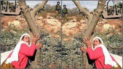 “Zeytin gözlüm sana meylim nedendir? Bu sevmenin kabahati kimdedir? Gül