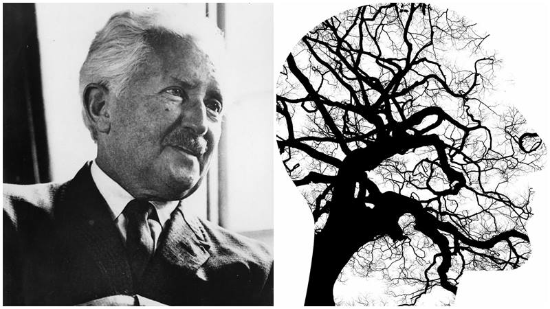 Sigmund Freud’un öğrencisi Erik Erikson’ un, yani Freud’ un “bireyin