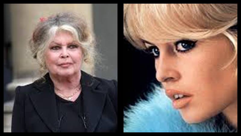 Fransız Sinema İkonu Brigitte Bardot yaşamını yitirdi Fransız sinemasının efsane ismi Brigitte Bardot, 91 yaşında yaşamını yitirdi.