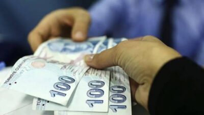 Aile ve Sosyal Hizmetler Bakanlığı, Sosyal ve Ekonomik Destek (SED)