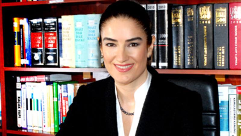 İstanbul Cumhuriyet Başsavcılığı tarafından AHBAP Derneği'ne yönelik yürütülen yasal inceleme